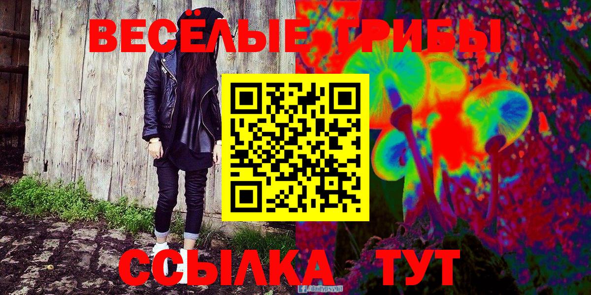закладки  Псилоцибиновые грибы GOLDEN TEACHER  Кирово-Чепецк  Вход с VPN  Псилоцибиновые грибы Psilocybine cubensis 